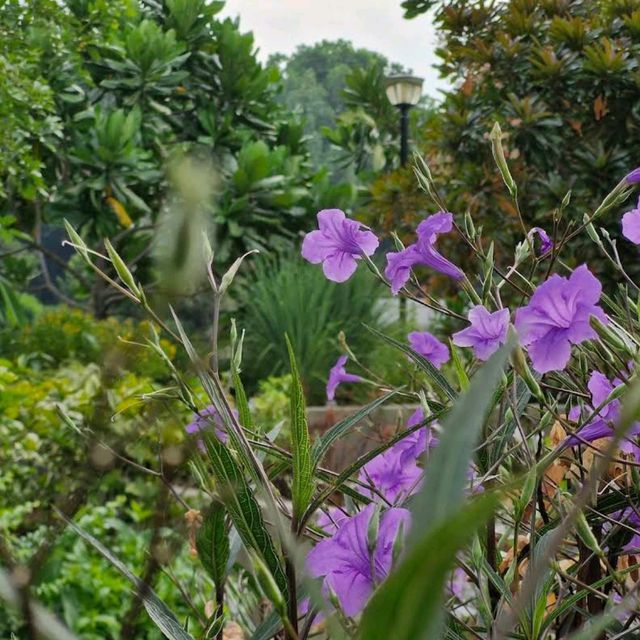 East Coast Park