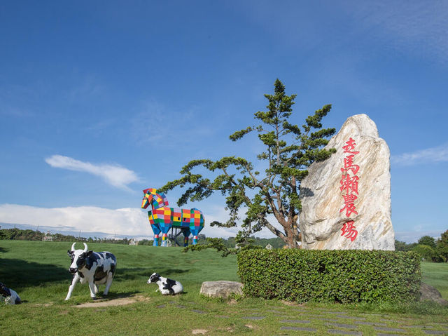 走馬瀨農場全攻略｜餵羊、露營、滑草一次滿足