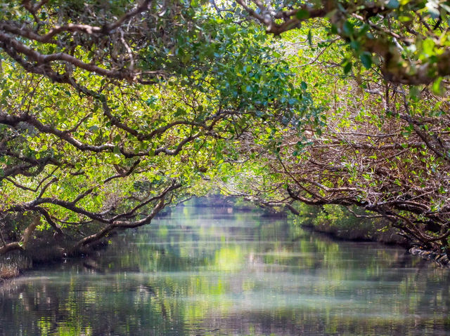 一座用水道寫成的國家公園，藏著台南最柔軟的靈魂