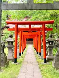 Senshu Park: Hirosaki's Secret Samurai Stroll (With Bonus Cherry Blossom Drama)🏯🌸