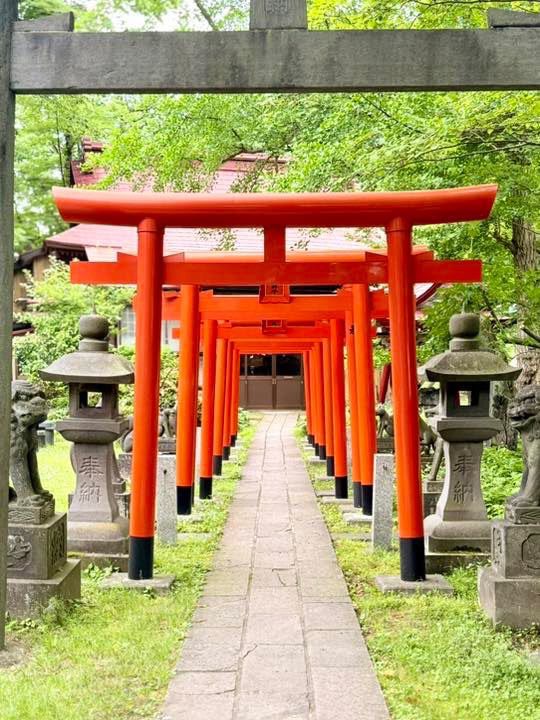 Senshu Park: Hirosaki's Secret Samurai Stroll (With Bonus Cherry Blossom Drama)🏯🌸