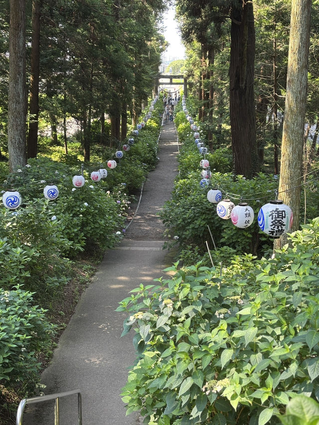 磯山神社あじさいと夏祓い
