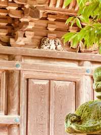 招福貓貓聖地～豪德寺