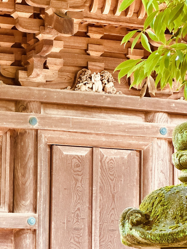 招福貓貓聖地～豪德寺