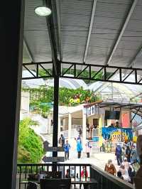 Bazar Kea Farm Cameron HighLand