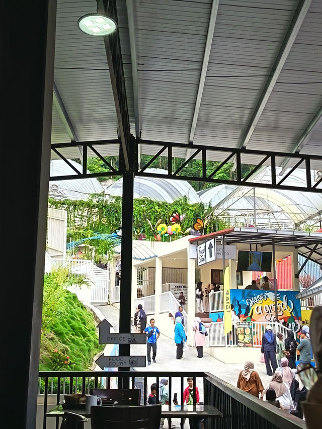 Bazar Kea Farm Cameron HighLand