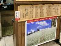🍜 Quick Slurp, Big Flavor – Soba on the Go at Bensai-tei ESTA