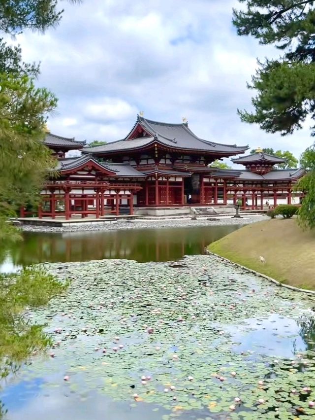 1 Day Trip เกียวโต เสน่ห์เมืองเก่า