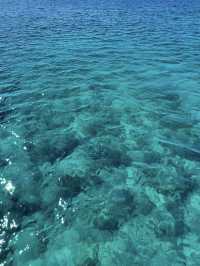 【海の中をのぞいてみよう】沖縄の海を間近に感じる「ブセナ海中公園」
