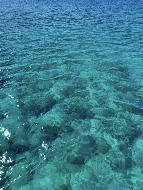 【海の中をのぞいてみよう】沖縄の海を間近に感じる「ブセナ海中公園」