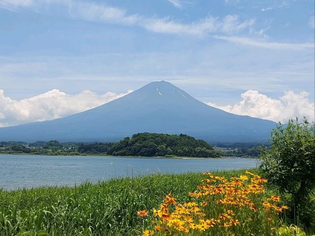 跟團遊富士山印、忍野八海路線