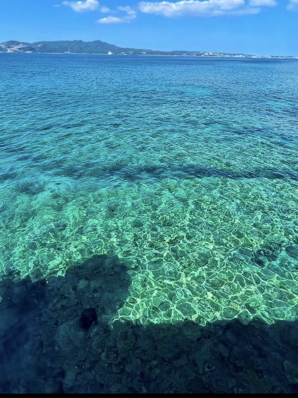 【海の中をのぞいてみよう】沖縄の海を間近に感じる「ブセナ海中公園」