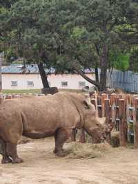 ~潮汕野生動物世界~