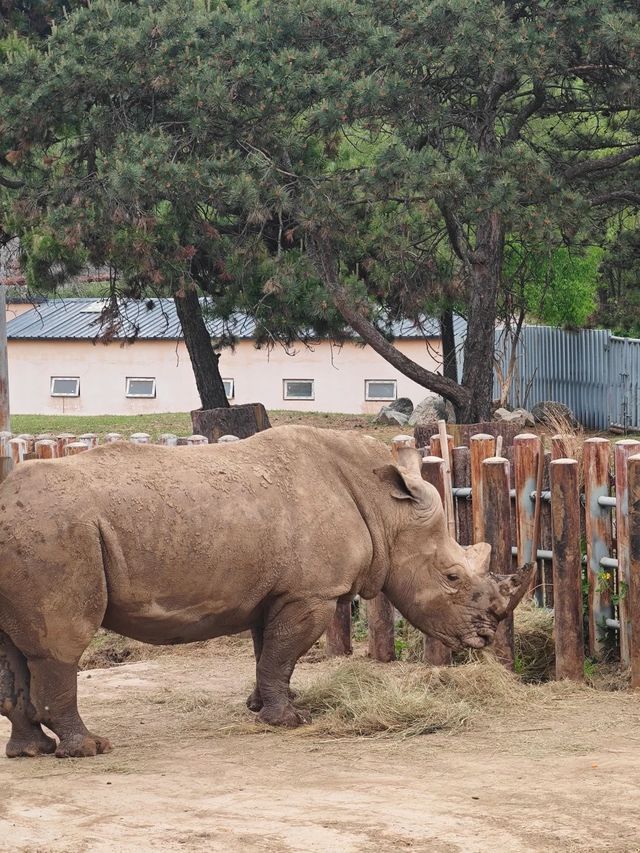 ~潮汕野生動物世界~