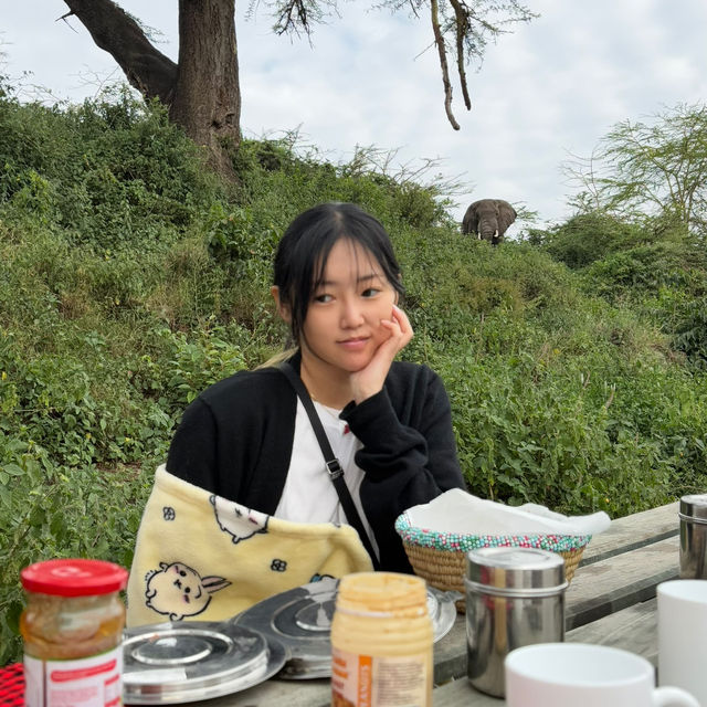 인생에 한번쯤은 세렝게티 여행🦁
