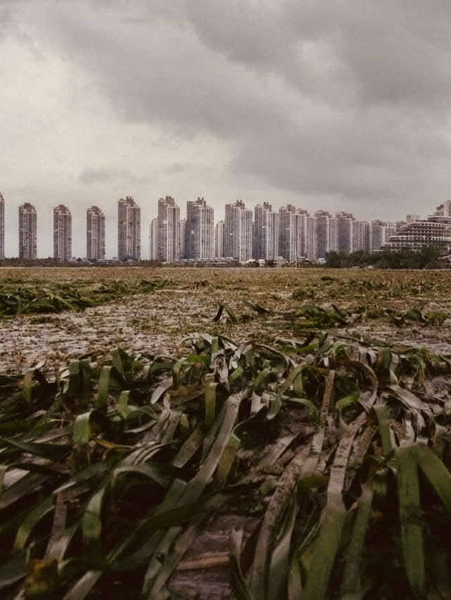 Forest City, Johor: A Solo Futuristic Escape – Where Green Meets Urban Utopia