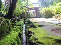 【神奈川県】 源氏のルーツを残す鎌倉五山の一寺『寿福寺』