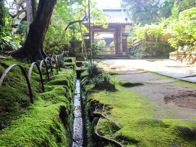 【神奈川県】 源氏のルーツを残す鎌倉五山の一寺『寿福寺』