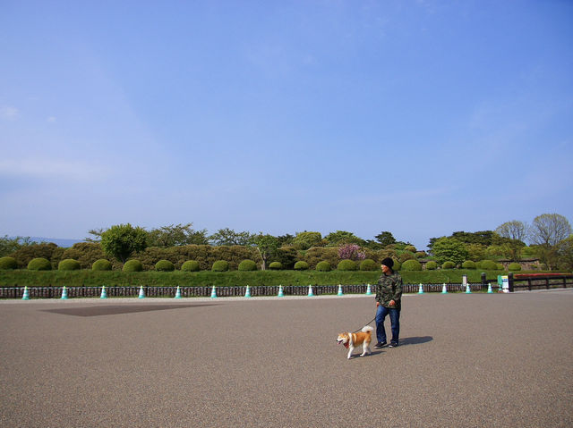 🌸 Walking Through History: A Peaceful Stroll at Goryōkaku Park