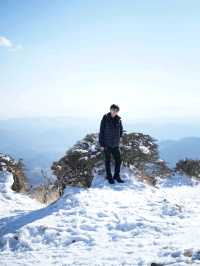 Beppu Ropeway ยอดเขาสึรุมิ