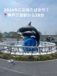 神戸須磨シーワールドでシャチの癒しと感動体験！