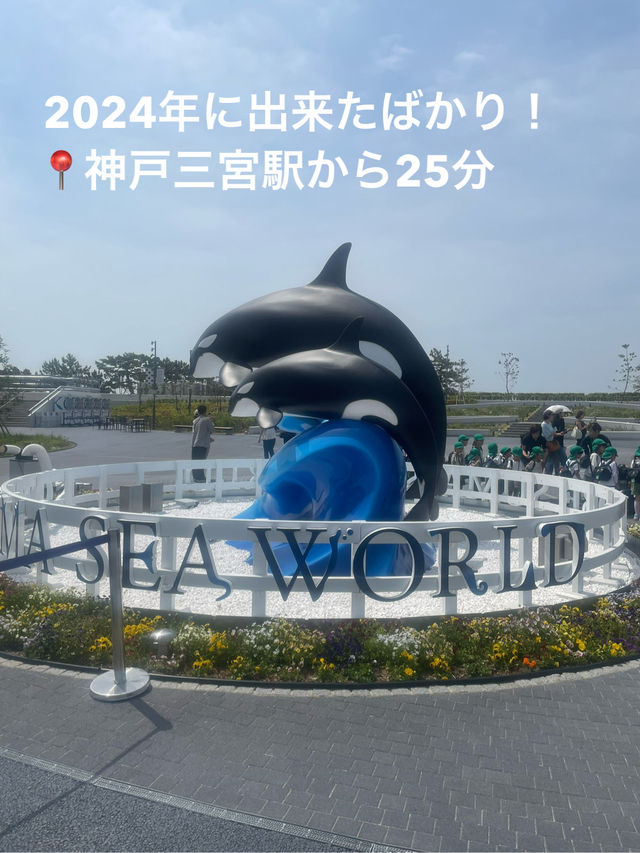 神戸須磨シーワールドでシャチの癒しと感動体験！