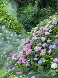 💐 โรแมนติกเฉพาะฤดูร้อนต้นปี