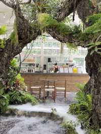 Sanqing Academy คาเฟ่เฉิงตูที่เหมือนอยู่ไทย🌸