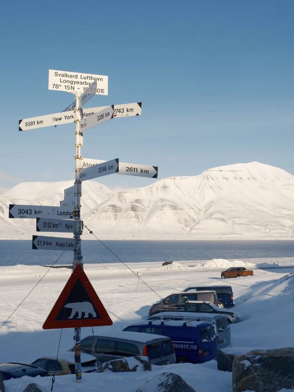 You can see polar bears for less than 20,000 yuan? Save this Svalbard guide!