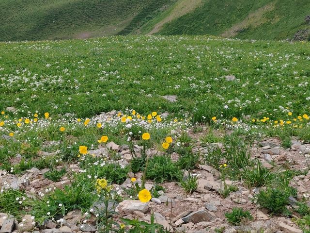Wangyun Tai: An Expedition Base by the Sea of Clouds 