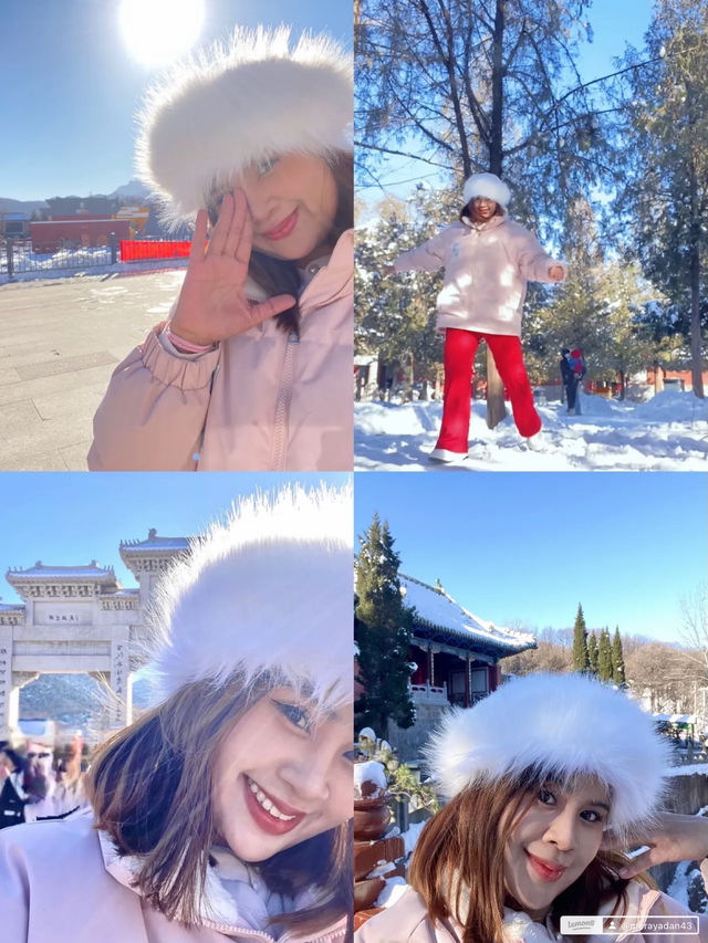 “ไปเส้าหลินแบบผู้ประสบภัย: จากไข้ขึ้นสู่สไลด์เดอร์