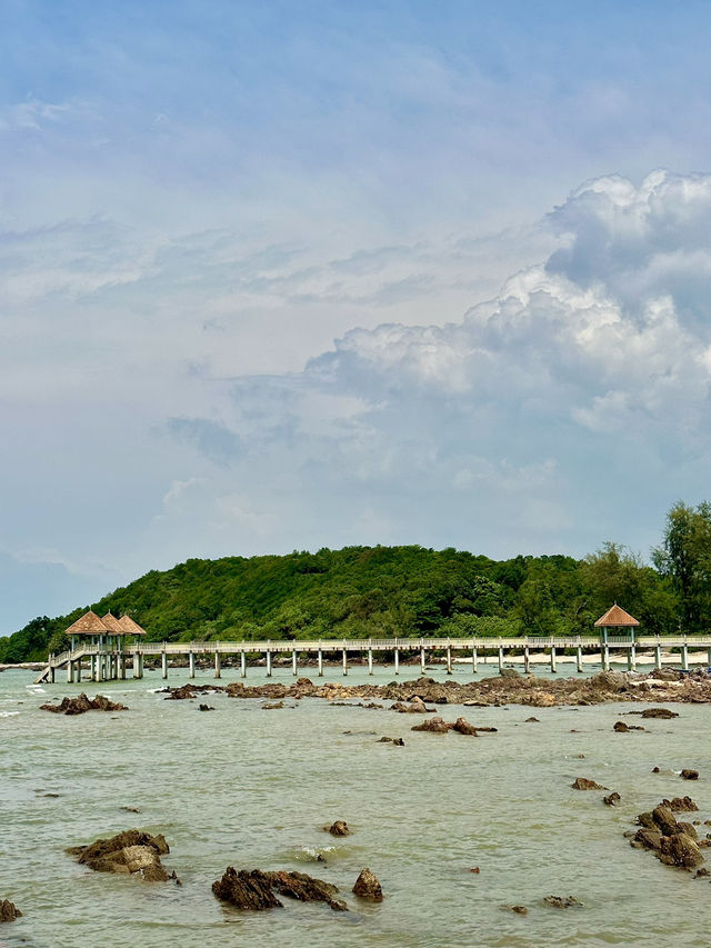 Time Written in Stone: Desaru’s Hidden Geological Treasure