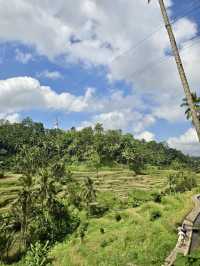 Green Stairways & Sunrise Stillness: Tegalalang’s Timeless Beauty