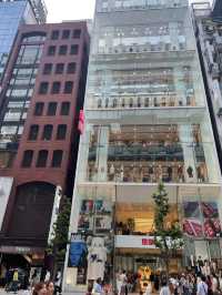 Discover Ginza: Tokyo’s Chic Heartbeat