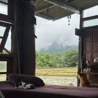 บ้านโอบอุ่น - เชียงใหม่