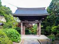 【神奈川県】 美しい鎌倉の奥座敷 花と水のお寺『海蔵寺』