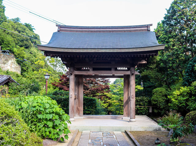【神奈川県】 美しい鎌倉の奥座敷 花と水のお寺『海蔵寺』