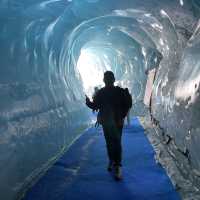 นั่งรถไฟชมธารน้ำแข็งMontenvers-Mer de Glace