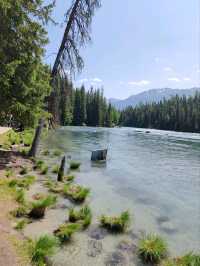Turquoise Waters and Pine Forests by Kanas Lake