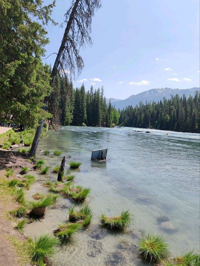 Turquoise Waters and Pine Forests by Kanas Lake