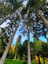 Lainzer Tiergarten, Vienna: A Forest Escape with Wild Charm 