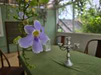 Cherhouse Café farm & more