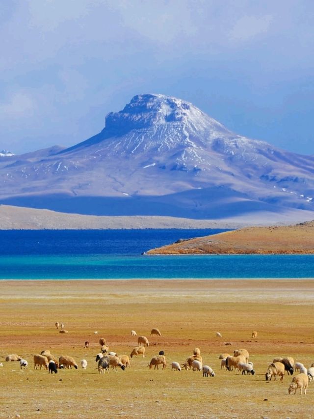Wild and Free at Changtang Nature Reserve