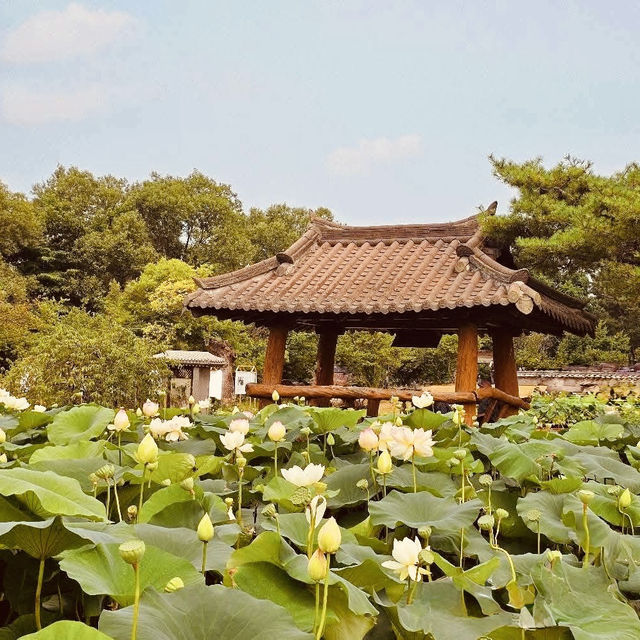**"Semiwon Garden: A Secret Han River Oasis – A Solo Traveler’s Floral Paradise"** 🌸🌊   