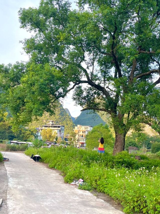 Drifting Through Paradise: The Magic of Yangshuo