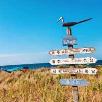 Observing Local Life and Coastal Culture