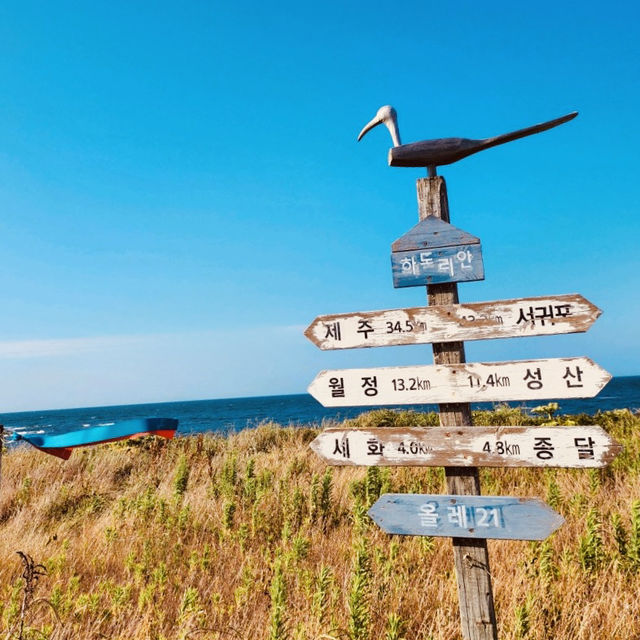 Observing Local Life and Coastal Culture