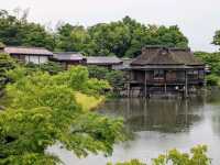 彥根 | 玄宮園，引琵琶湖水而成的日式庭園
