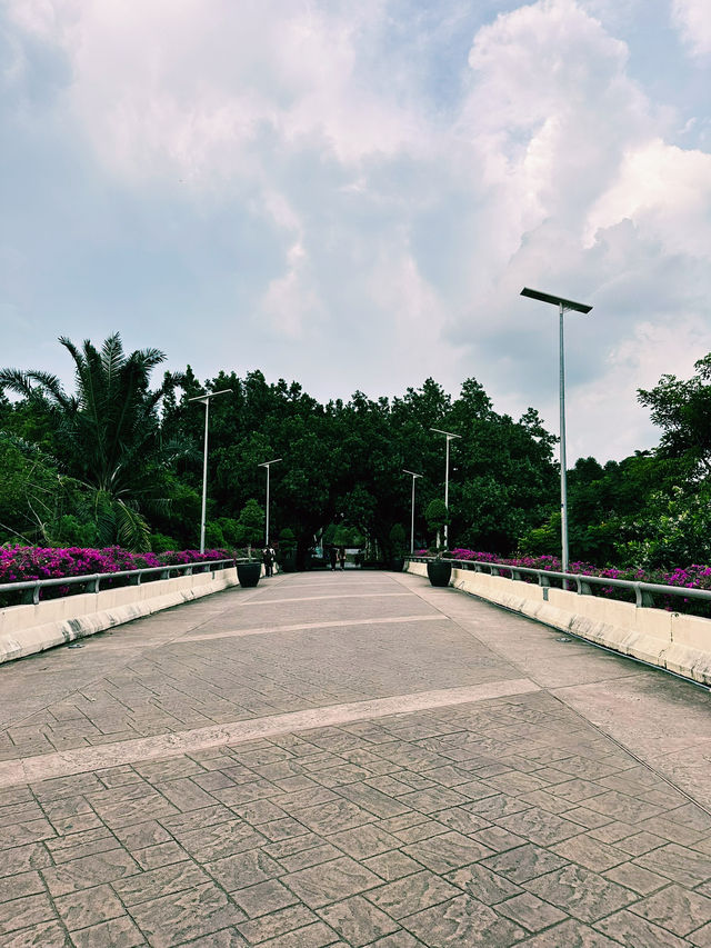 静けさと未来都市が交差する場所、Cyberjaya Lake Gardens散策記