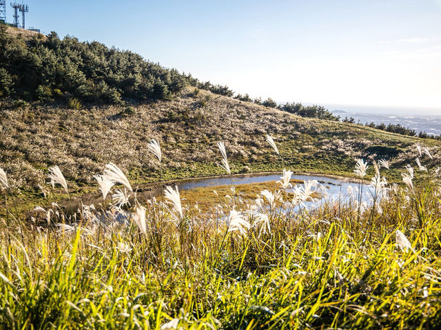 하늘을 걷는 순간, 제주에서 인생샷 날리다 🌾🏔